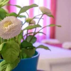Housestation Apartment